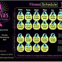 Mireya's Dance Fit Studio ico