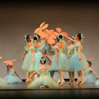 Academy of Ballet & Arts ico