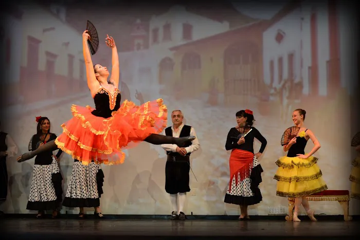Academy of Ballet & Arts Picture 6