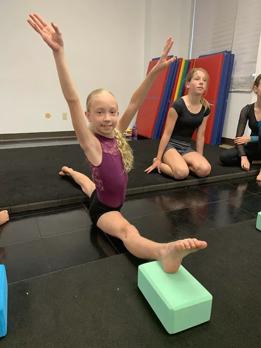 LOVV The Dance Studio Picture 10