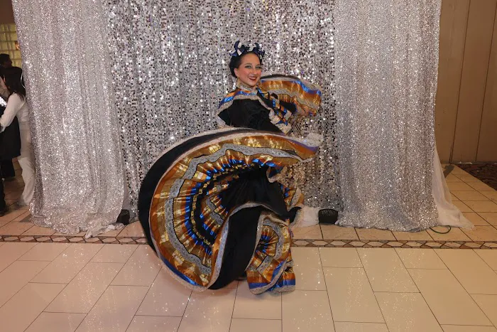 the dance lab llc Picture 4