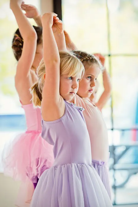 Tutu School Glenview Picture 7