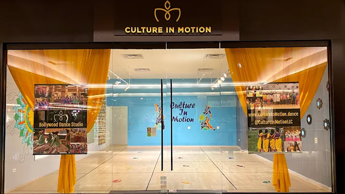 Culture In Motion Dance Studio Picture 6