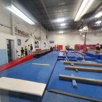 Dreams Gymnastics & Dance ico