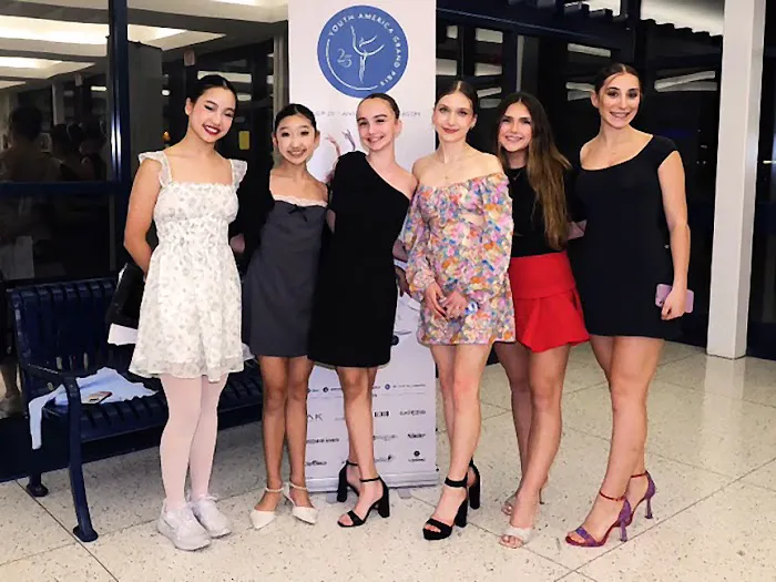 Illinois Classical Ballet Picture 8