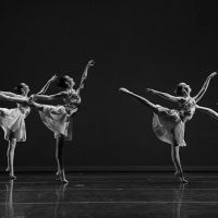 North Shore School of Dance ico