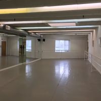 Irina Makkai Classical Ballet & Dance School ico