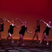 Lincolnshire Academy of Dance ico