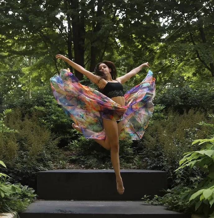 Pro Dance Elite Studios Picture 3