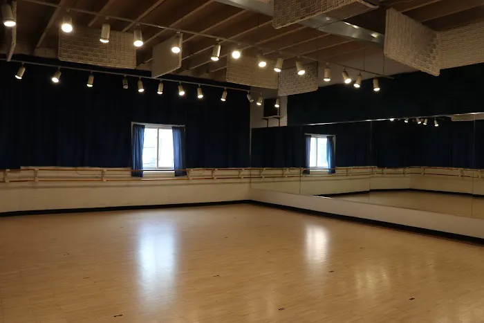 Cary-Grove Performing Arts Centre Picture 7