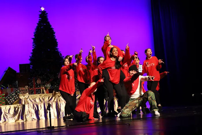 Cary-Grove Performing Arts Centre Picture 4