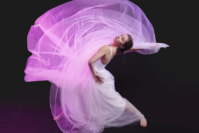 Dance Academy of Libertyville Picture 2