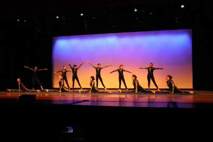 Mundelein Dance Studio Picture 2