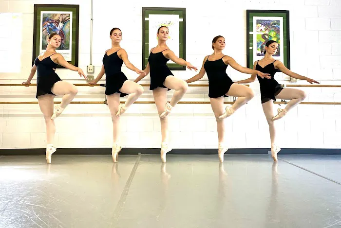 Illinois Dance Conservatory Picture 2