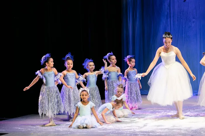Illinois Dance Conservatory Picture 1