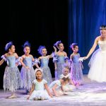 Illinois Dance Conservatory