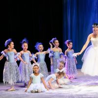 Illinois Dance Conservatory ico