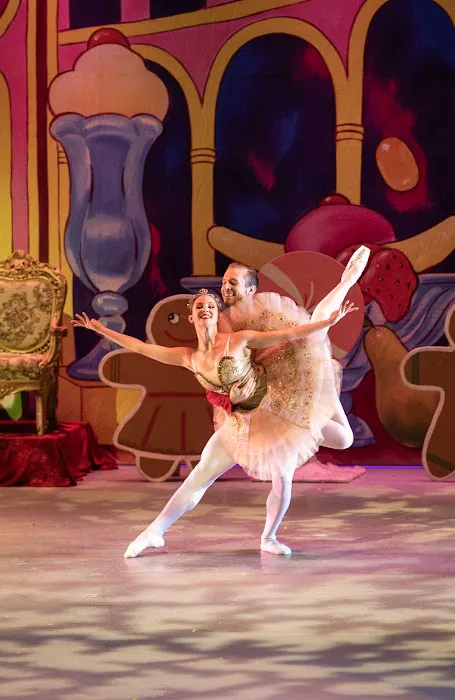Illinois Dance Conservatory Picture 8