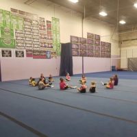 ELGIN CHEER ACADEMY ico