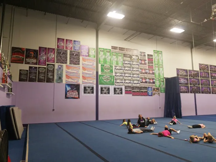 ELGIN CHEER ACADEMY Picture 2