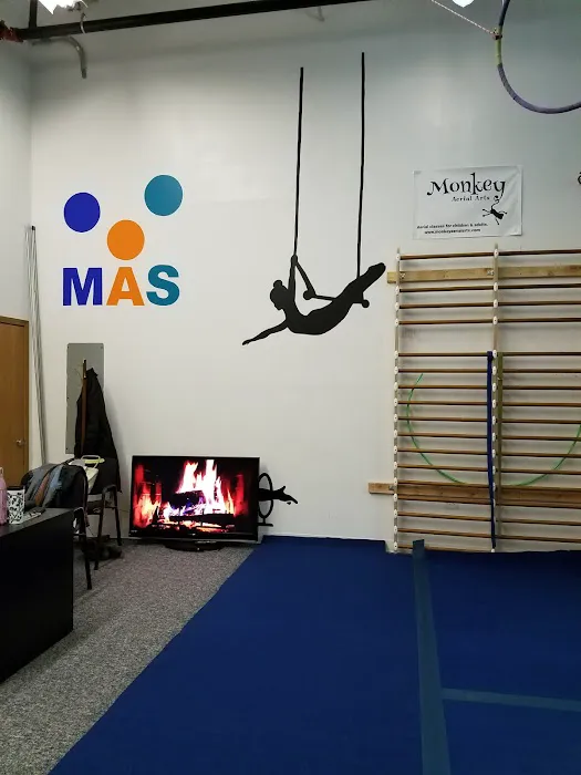 Monkey Aerial Arts Picture 1