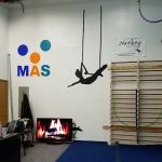 Monkey Aerial Arts