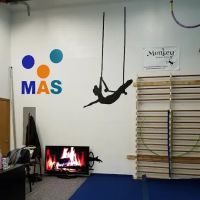 Monkey Aerial Arts ico