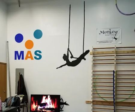 Monkey Aerial Arts