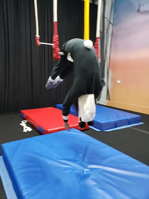 Monkey Aerial Arts Picture 6