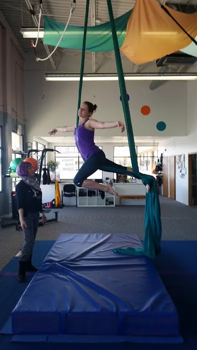 Monkey Aerial Arts Picture 4
