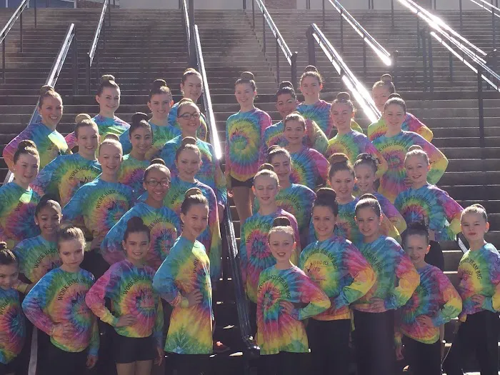 Step By Step Dance Academy Picture 1