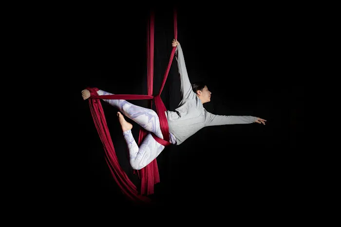 The Lofty Life Aerial Dance, LLC. Picture 1