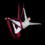 The Lofty Life Aerial Dance, LLC.