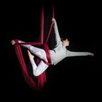The Lofty Life Aerial Dance, LLC. ico