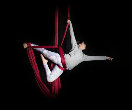 The Lofty Life Aerial Dance, LLC.