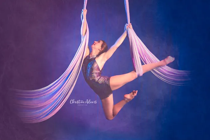The Lofty Life Aerial Dance, LLC. Picture 3