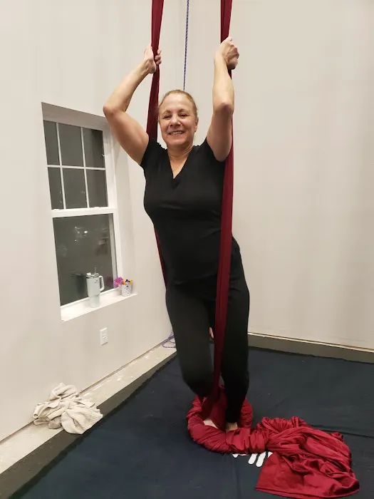 The Lofty Life Aerial Dance, LLC. Picture 4