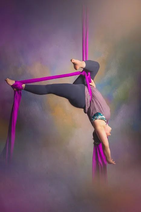 The Lofty Life Aerial Dance, LLC. Picture 9