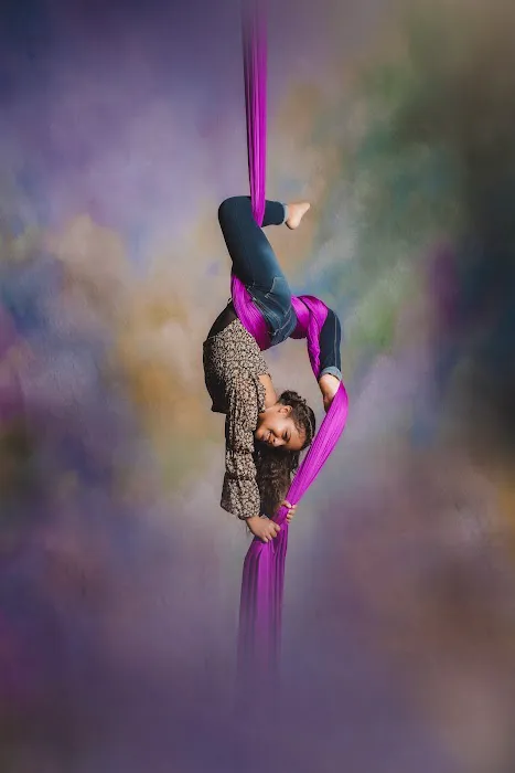 The Lofty Life Aerial Dance, LLC. Picture 7