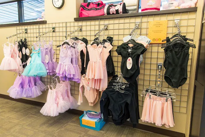 The Academy of Performing Arts Picture 1