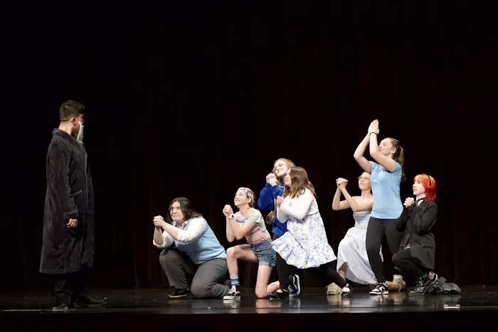 The Academy of Performing Arts Picture 5