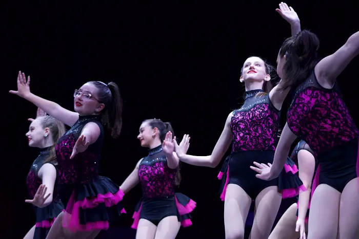 The Academy of Performing Arts Picture 5