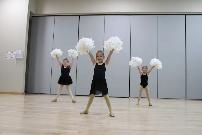 The Academy of Performing Arts Picture 7