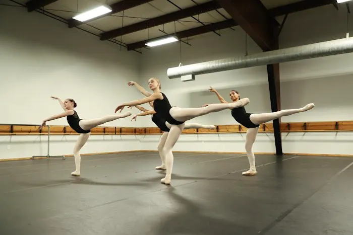 Young Dance Academy, Inc. Picture 3