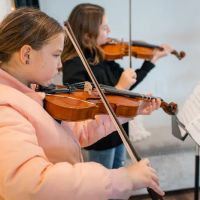 Shallece Saleen Studio - Fine Arts Academy ico