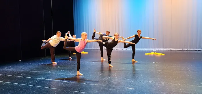 Dance Tracks LLC Picture 10