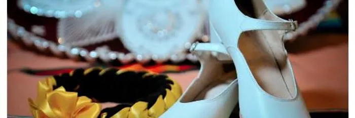 Dance Academy of Mexico Picture 1