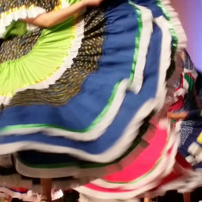 Dance Academy of Mexico Picture 10