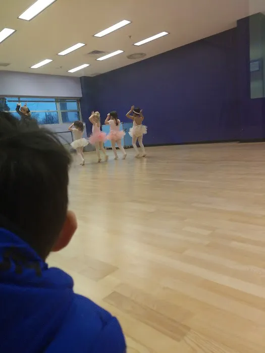 Rockford Dance Company Picture 1