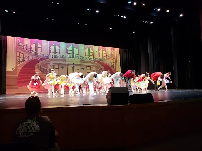 Rockford Dance Company Picture 2